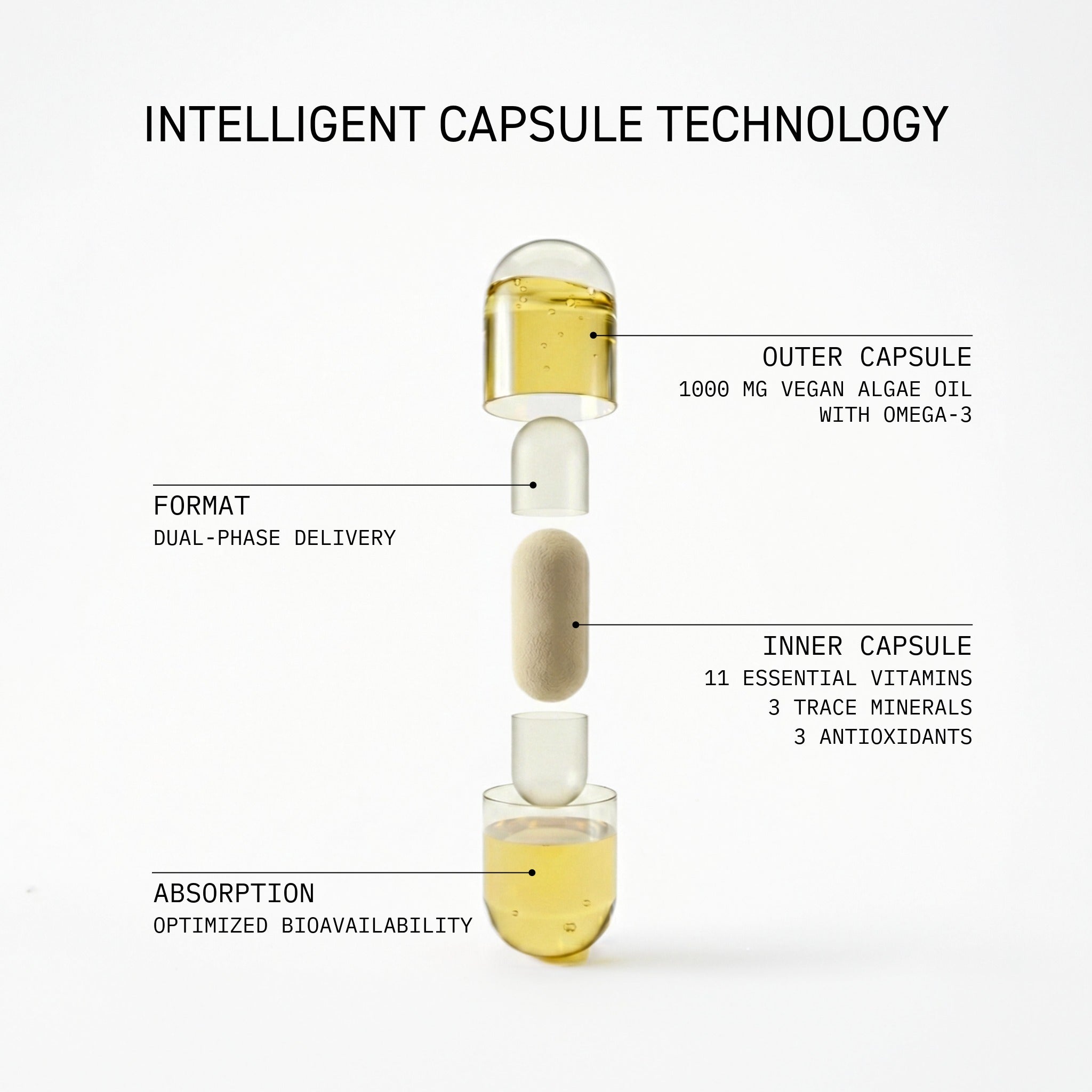 FACTS DAILY ESSENTIALS
