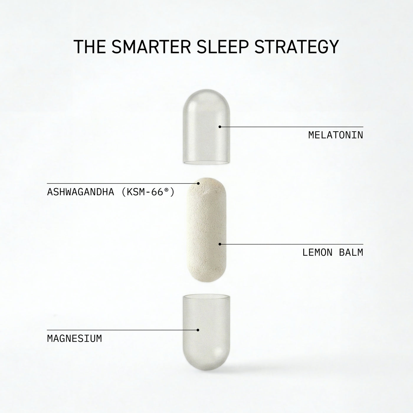 FACTS SLEEP⁺