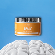 FACTS BRAIN⁺