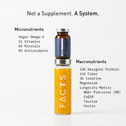 DAILY FOUNDATION