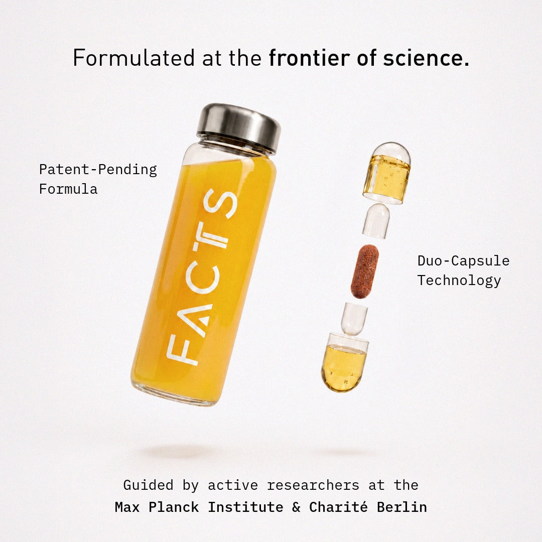 DAILY FOUNDATION