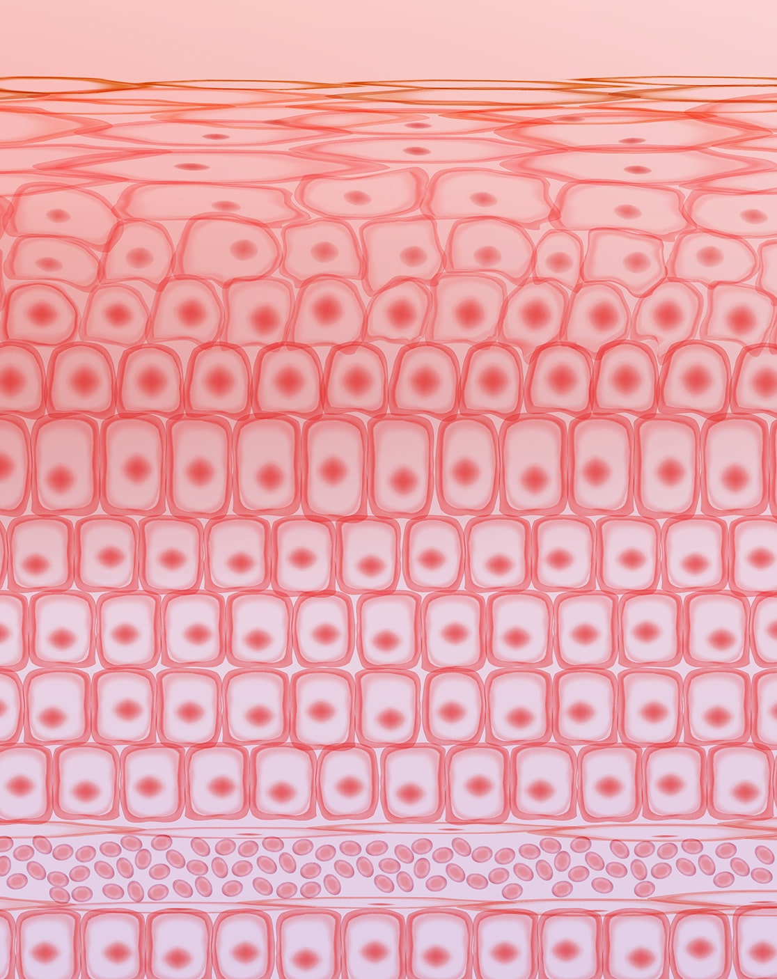 iStock-1199180897dd-min.jpg